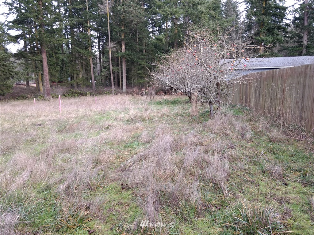1782 South Jacob Miller Road Port Townsend, WA 98368 - Photo 10 of 15 Gallery Image 10