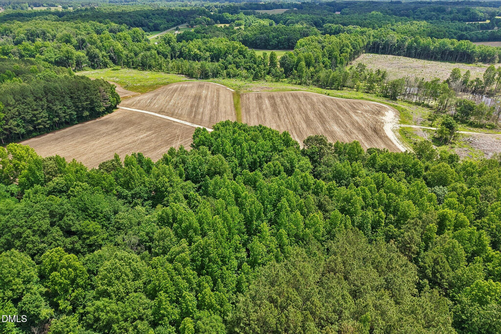 89 Nash County Line Road Castalia, NC 27816 - Photo 12 of 12