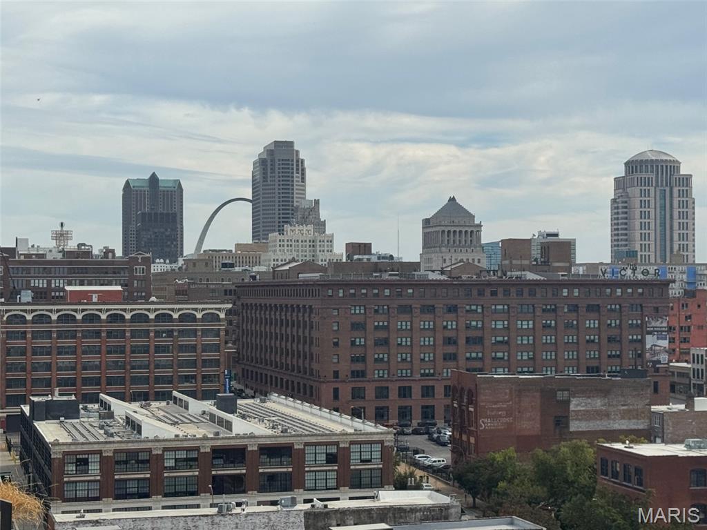 2020 Washington Avenue, Unit 503 St. Louis, MO 63103 - Photo 31 of 32