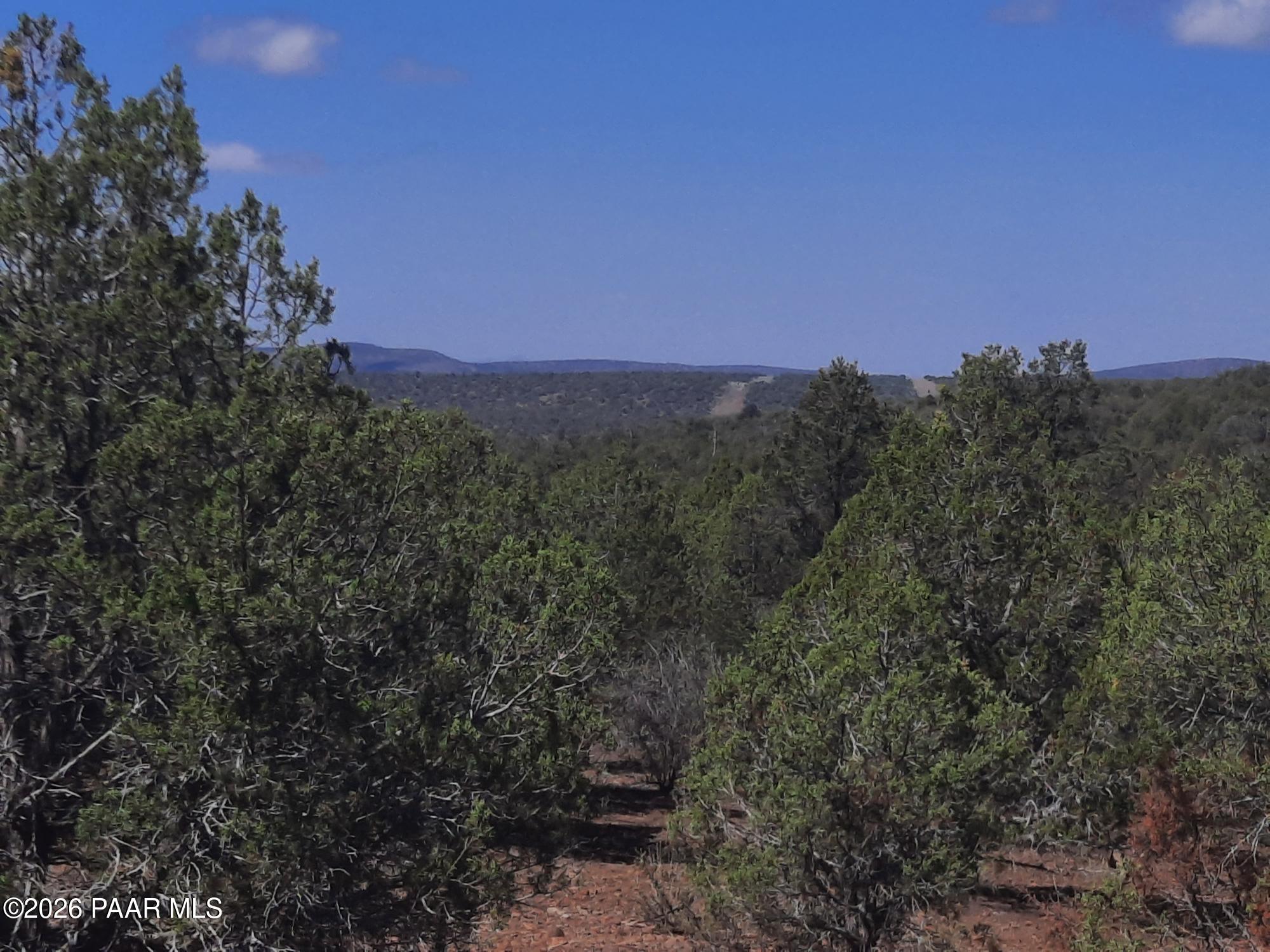 Lot 860 Fort Rock Road Kingman, AZ 86401 - Photo 1 of 20 a view of a city with lush green forest