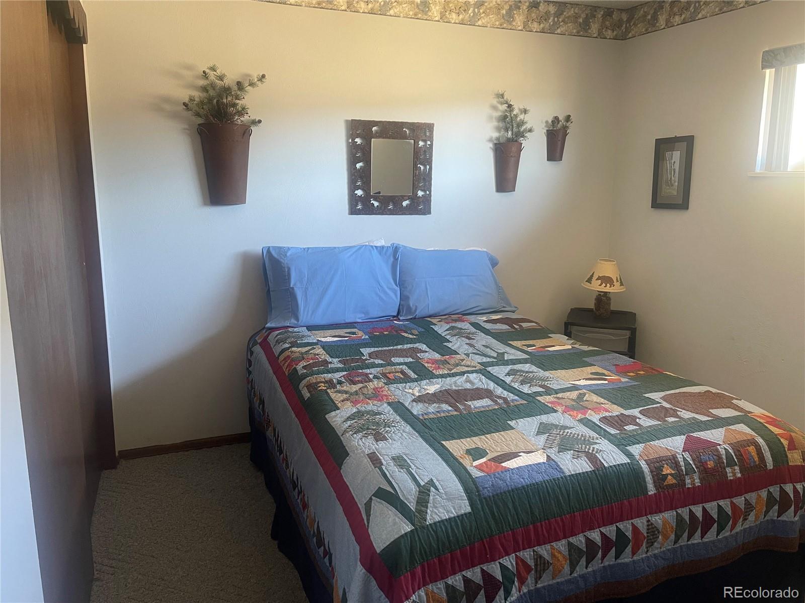 220 Tiara Road Lake George, CO 80827 - Photo 15 of 33 Gallery Image 15
