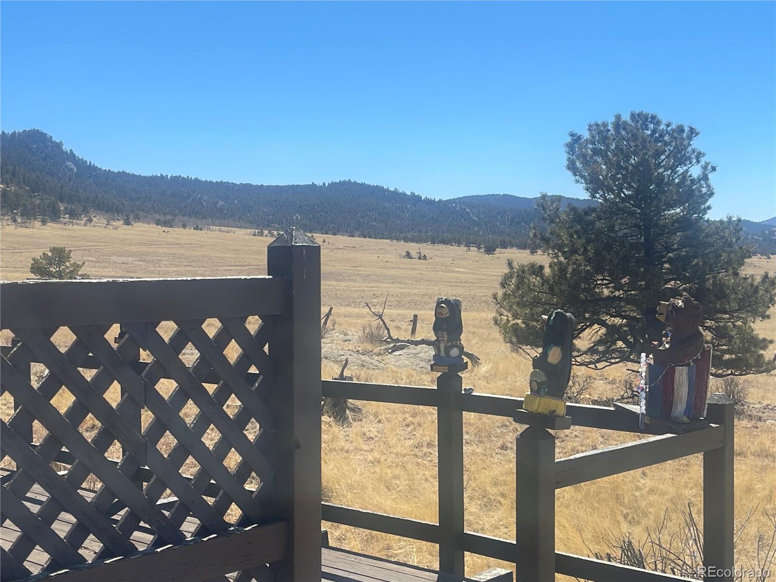 220 Tiara Road Lake George, CO 80827 - Photo 23 of 33 Gallery Image 23