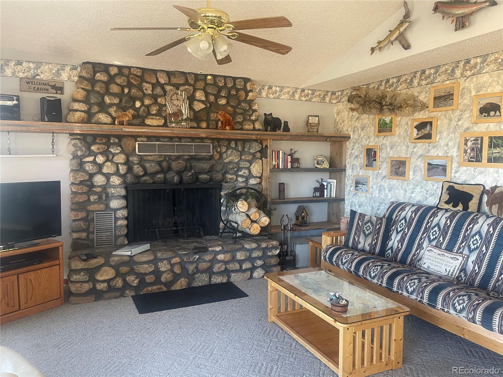 220 Tiara Road Lake George, CO 80827 - Photo 6 of 33 Gallery Image 6