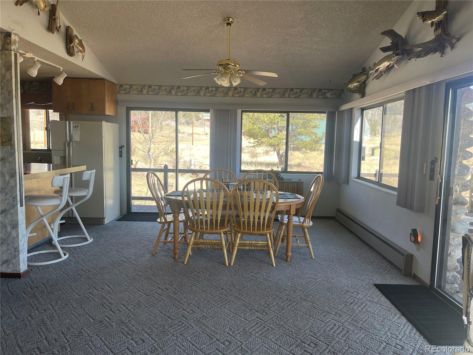 220 Tiara Road Lake George, CO 80827 - Photo 7 of 33 Gallery Image 7