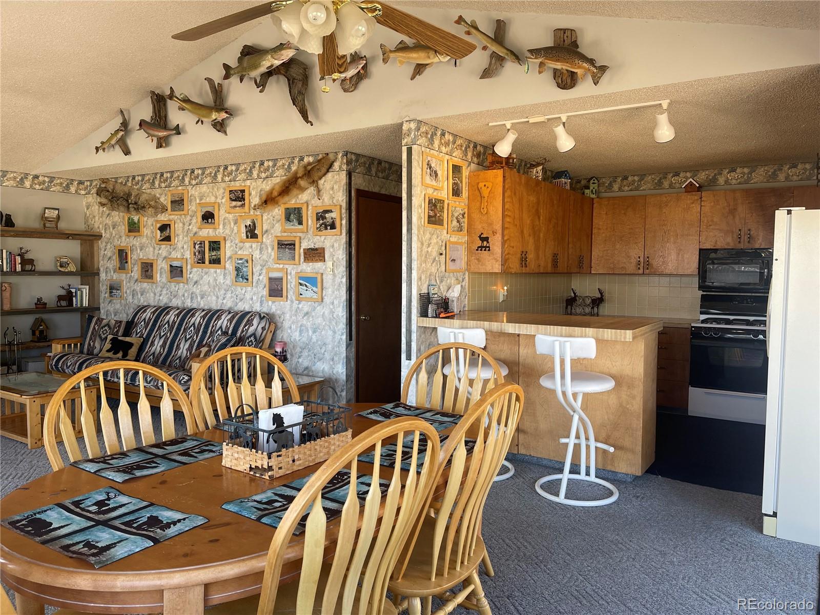 220 Tiara Road Lake George, CO 80827 - Photo 8 of 33 Gallery Image 8