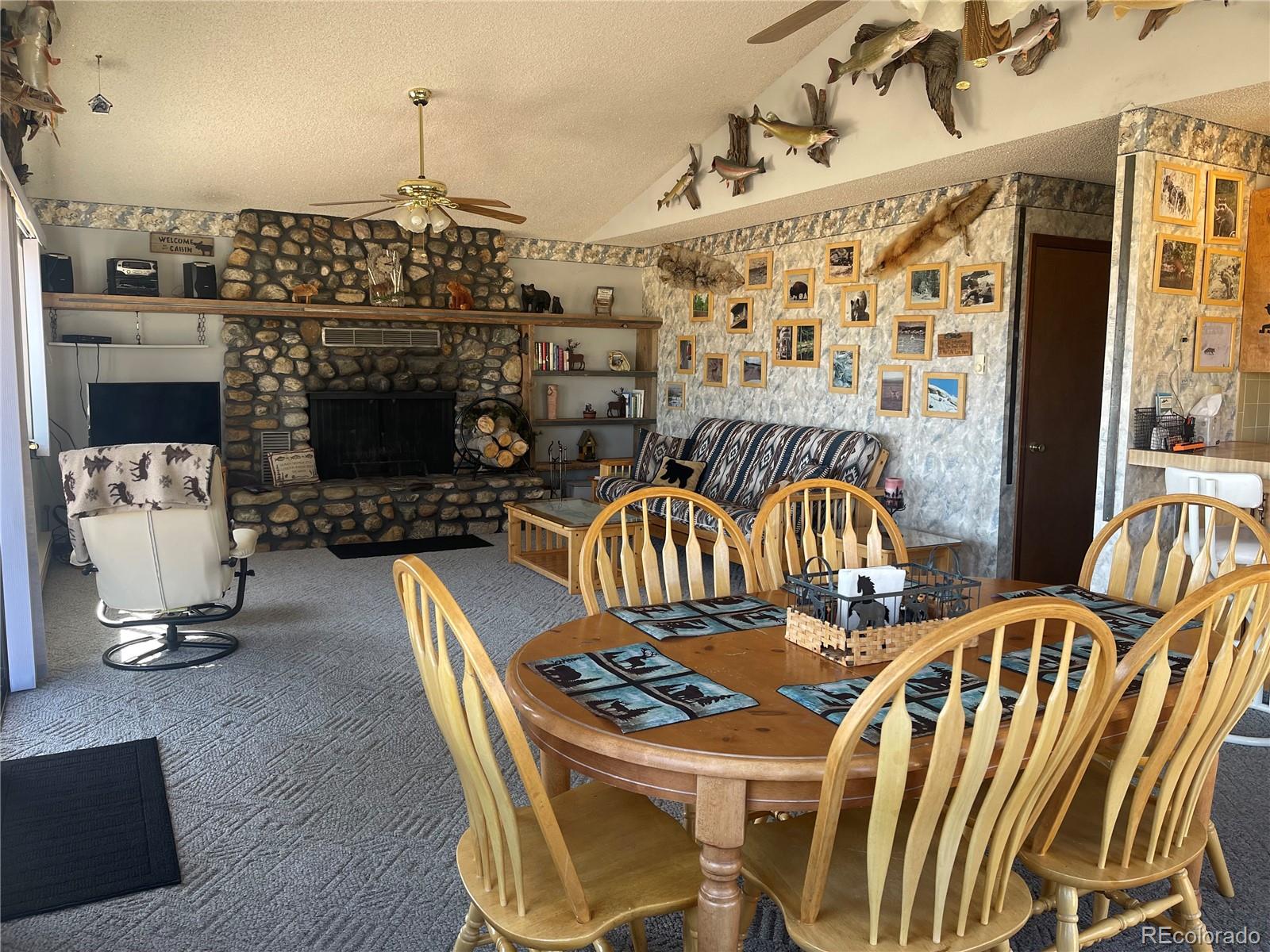 220 Tiara Road Lake George, CO 80827 - Photo 9 of 33 Gallery Image 9