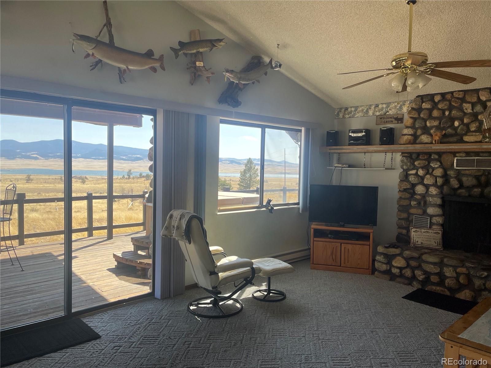 220 Tiara Road Lake George, CO 80827 - Photo 10 of 33 Gallery Image 10