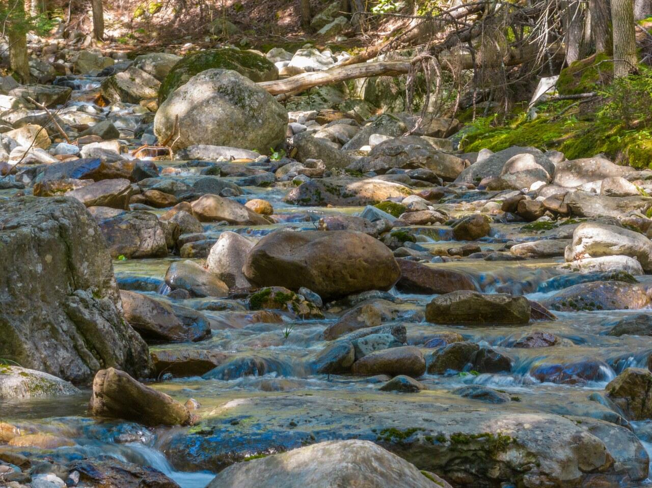 440 Belfast Road, Unit NAAN D1 Camden, ME 04843 - Photo 13 of 25 Beauty everywhere