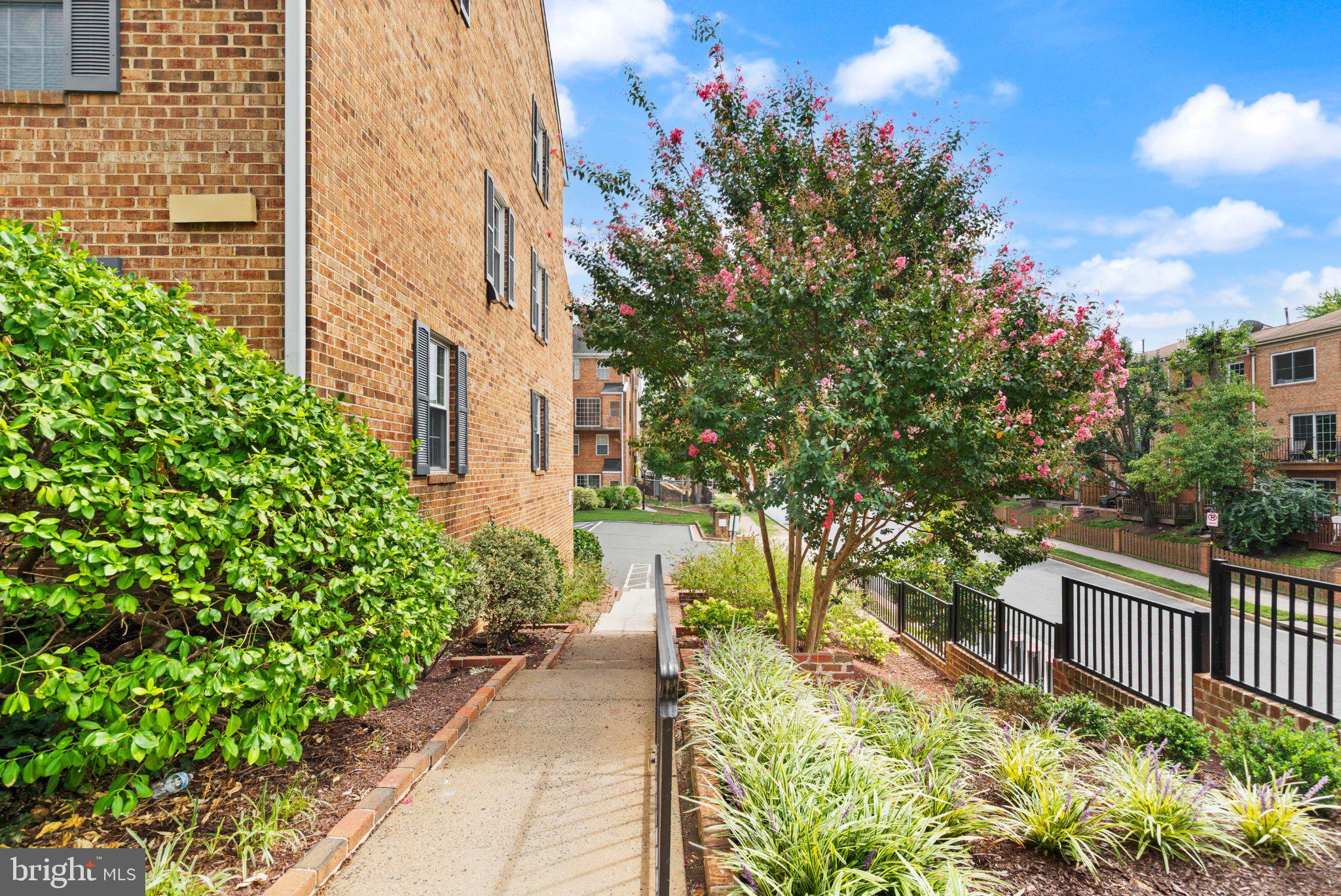 905 South Rolfe Street, Unit 2 Arlington, VA 22204 - Photo 49 of 55 Gallery Image 49