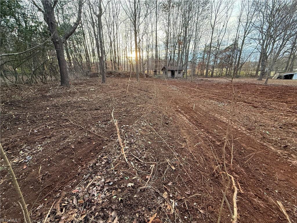 0 McDaniel Road Advance, NC 27006 - Photo 5 of 5