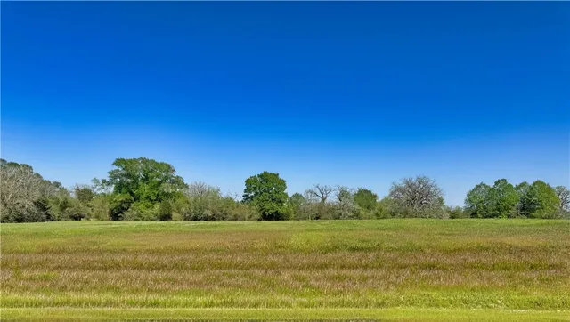 a view of an outdoor space and a yard