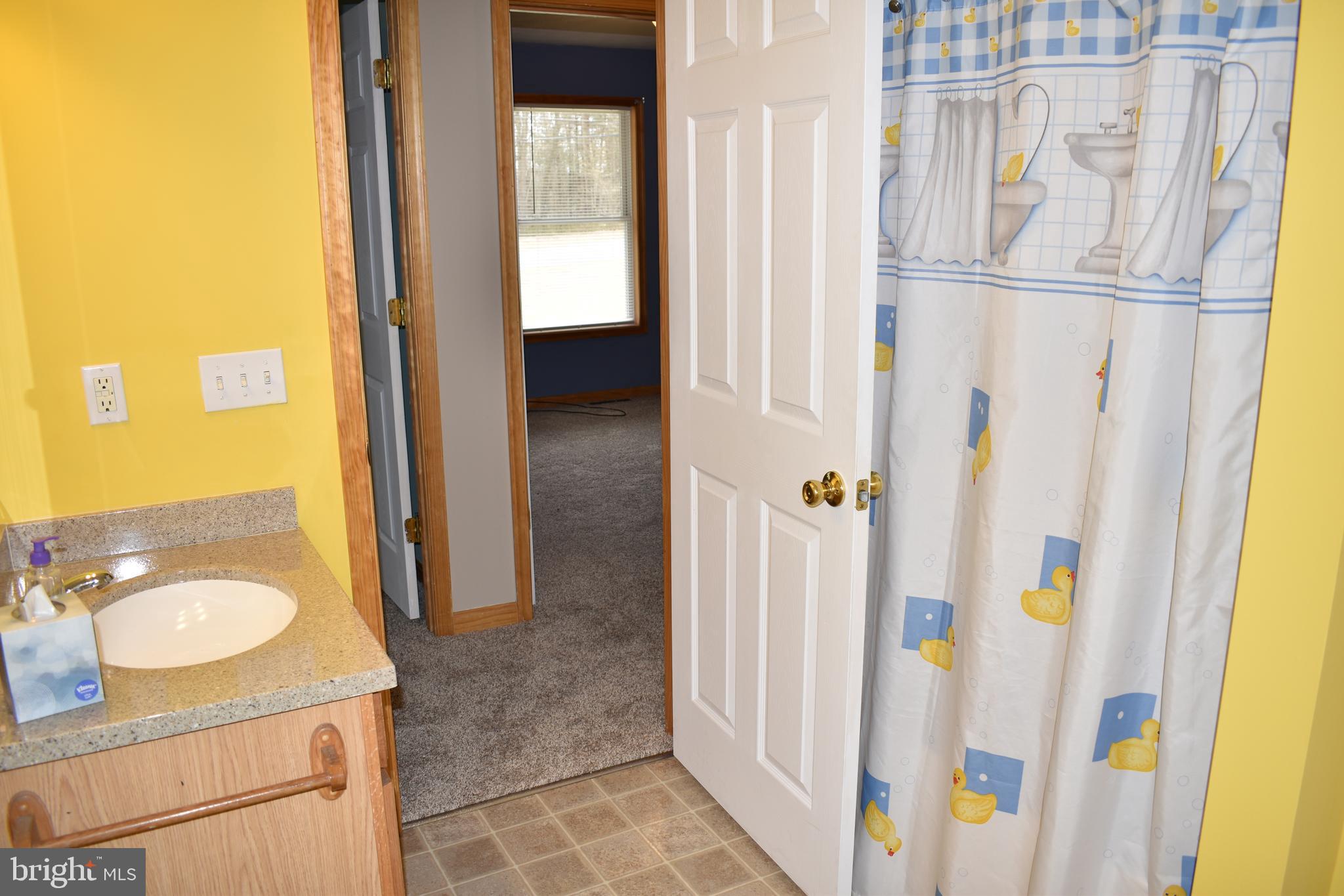 13704 Orchard Ridge Road Hancock, MD 21750 - Photo 14 of 27 Hall bathroom