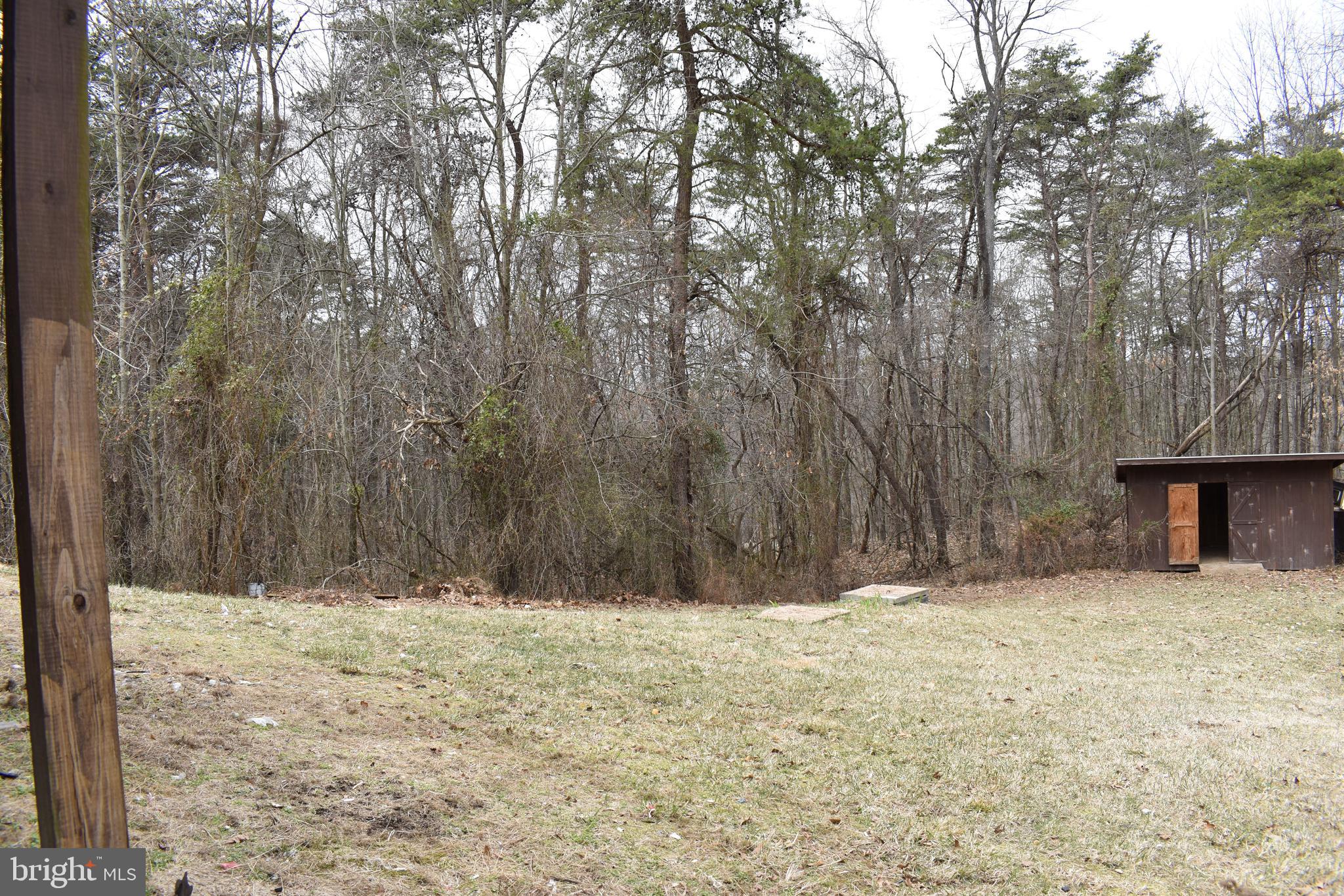 13704 Orchard Ridge Road Hancock, MD 21750 - Photo 24 of 27 View of land