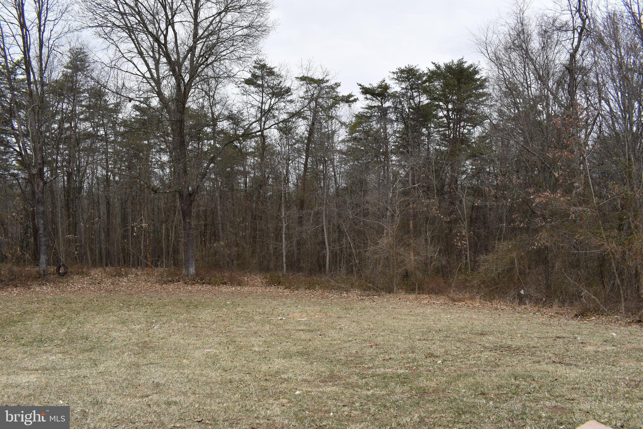13704 Orchard Ridge Road Hancock, MD 21750 - Photo 25 of 27 View of land..property extends beyond trees