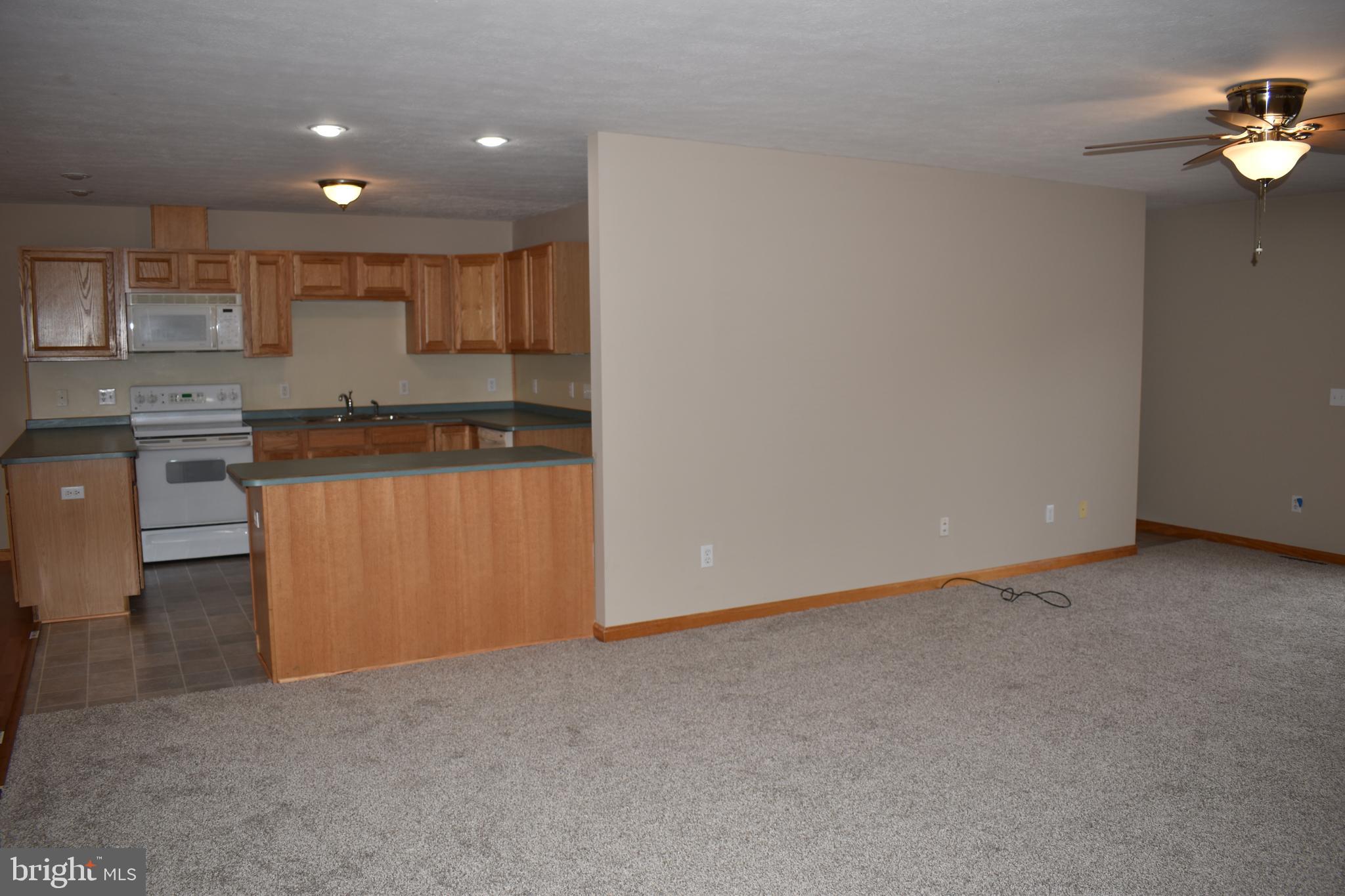 13704 Orchard Ridge Road Hancock, MD 21750 - Photo 6 of 27 Huge living room -New carpet
