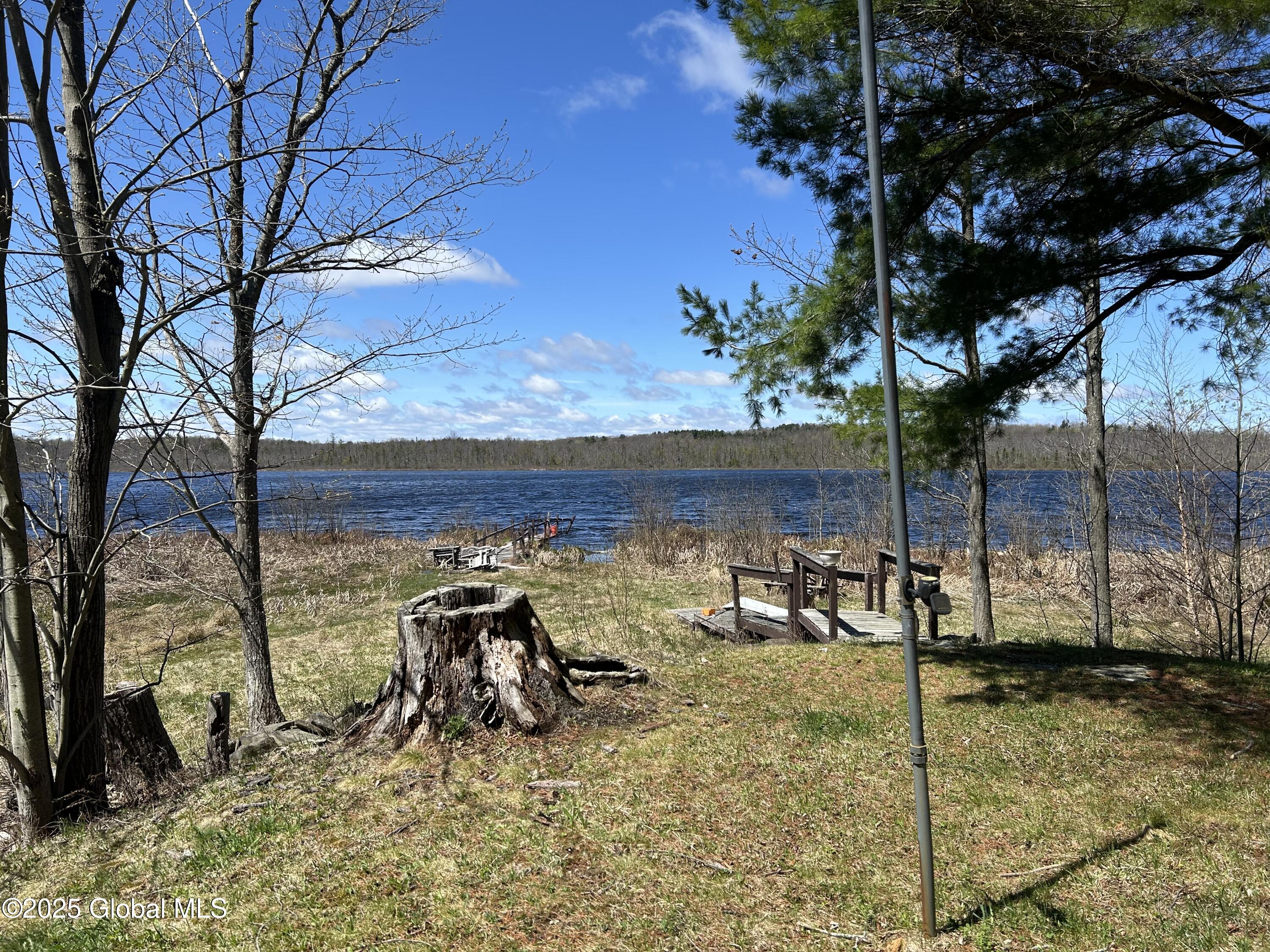 284 Lake Road Delanson, NY 12053 - Photo 29 of 37 IMG_4414