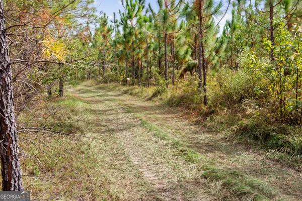a view of backyard with green space
