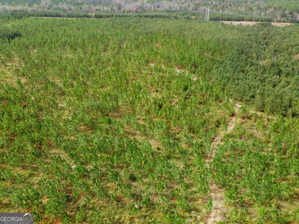 a view of a lush green space