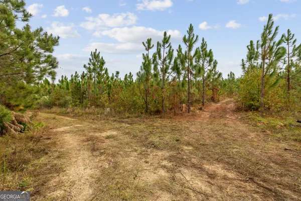 a view of a yard with wooden fence