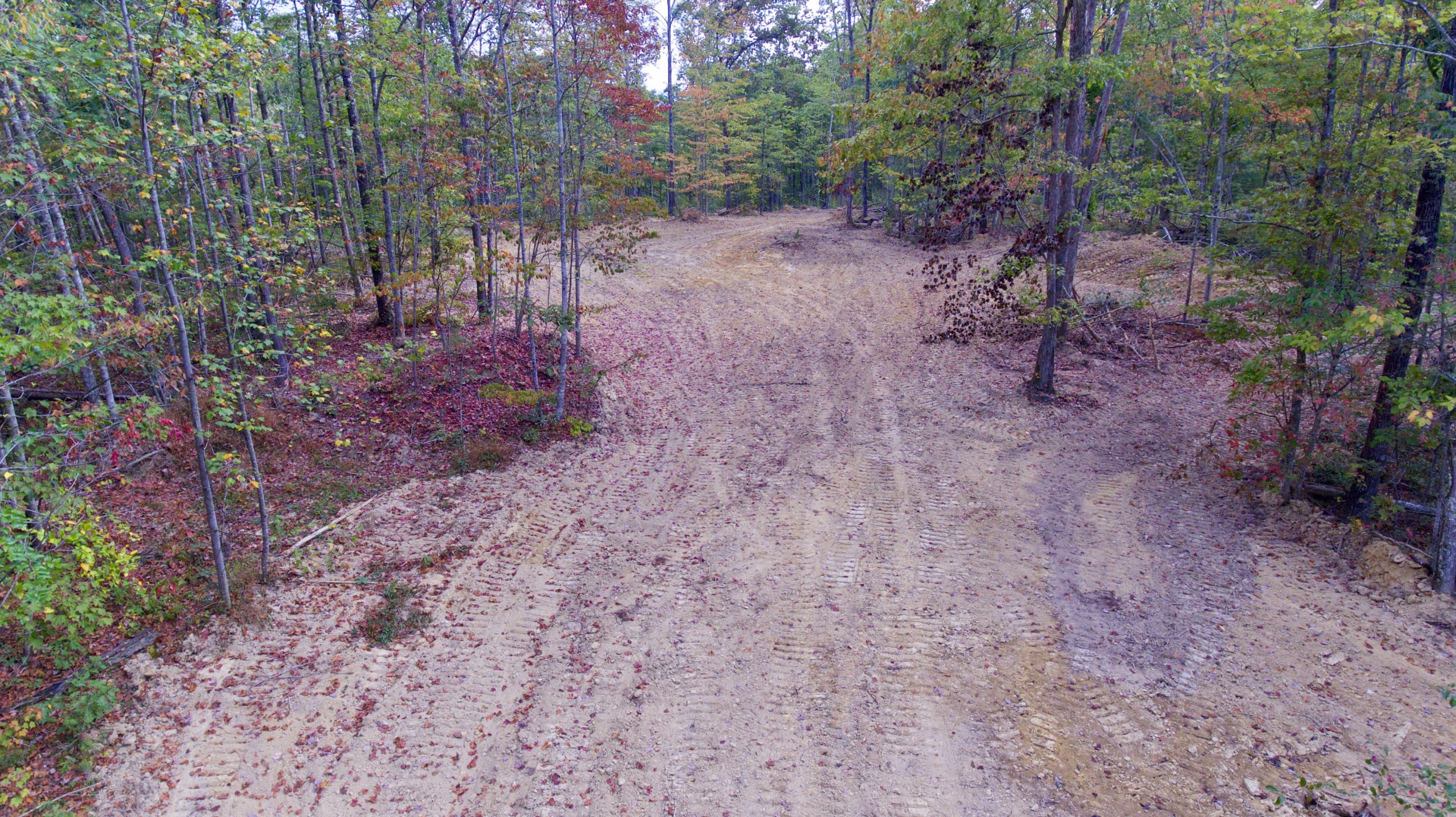 Arthur Mccormick Road Lancing, TN 37770 - Photo 11 of 39 12