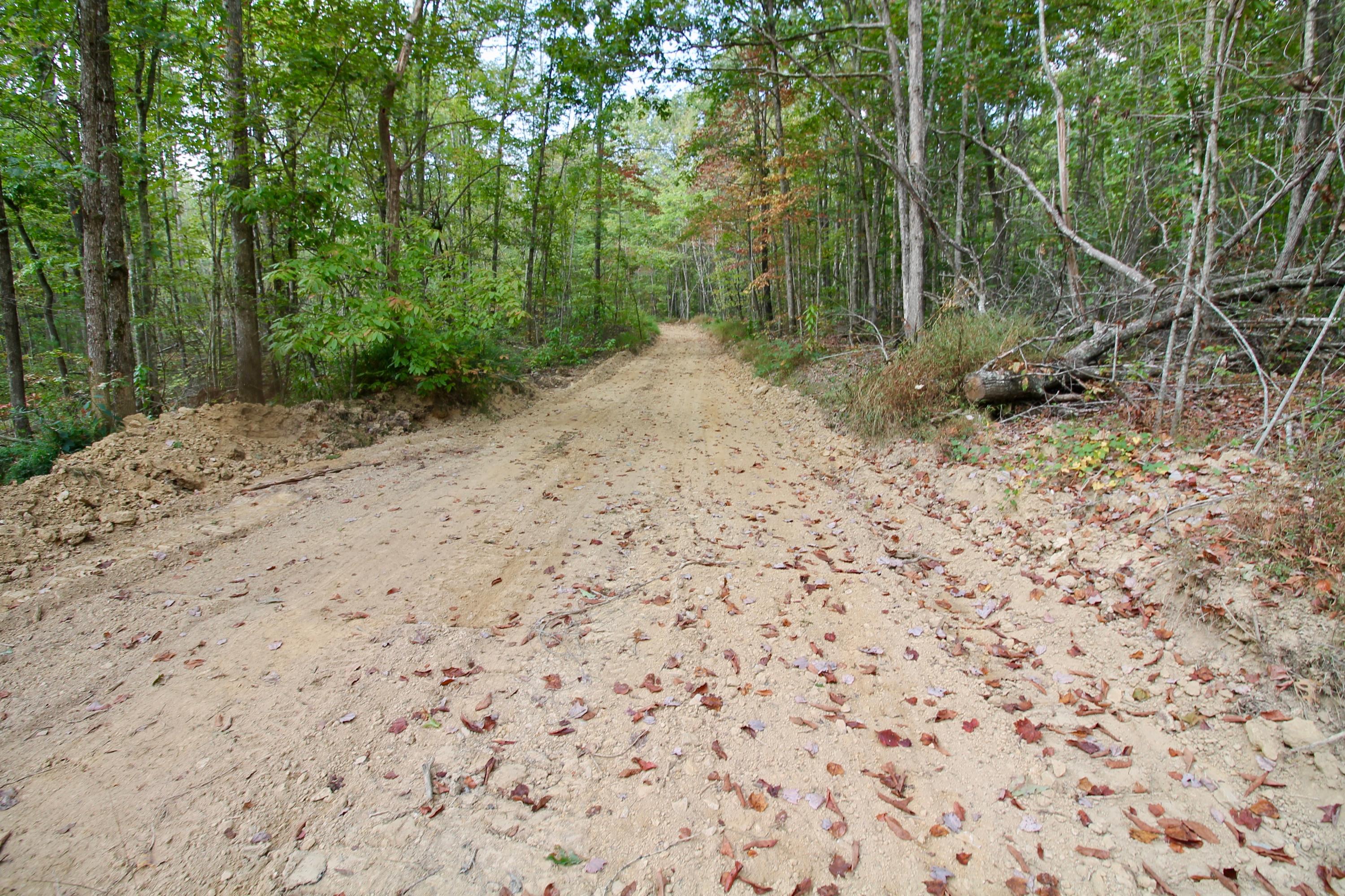 Arthur Mccormick Road Lancing, TN 37770 - Photo 15 of 39 16