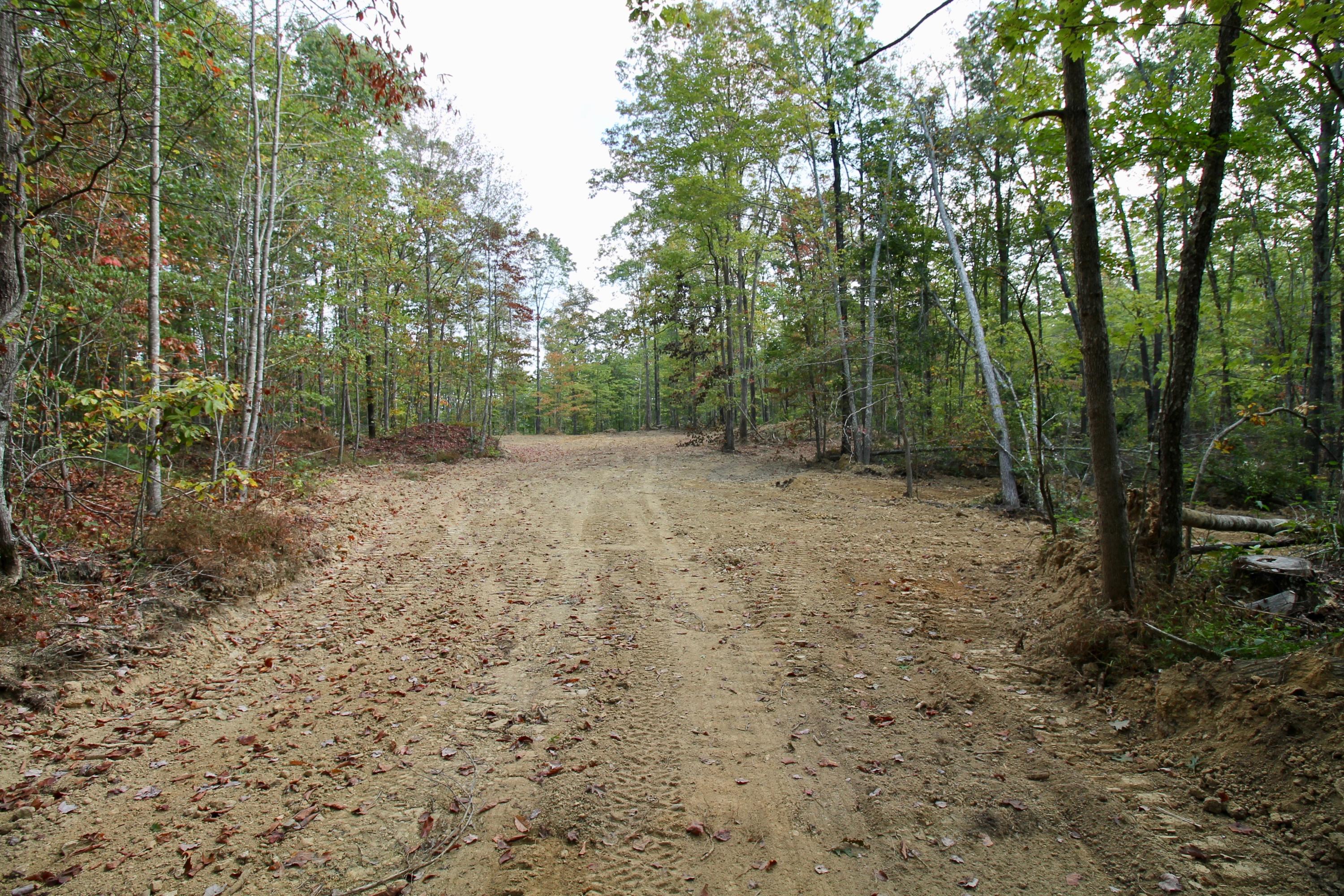 Arthur Mccormick Road Lancing, TN 37770 - Photo 16 of 39 17