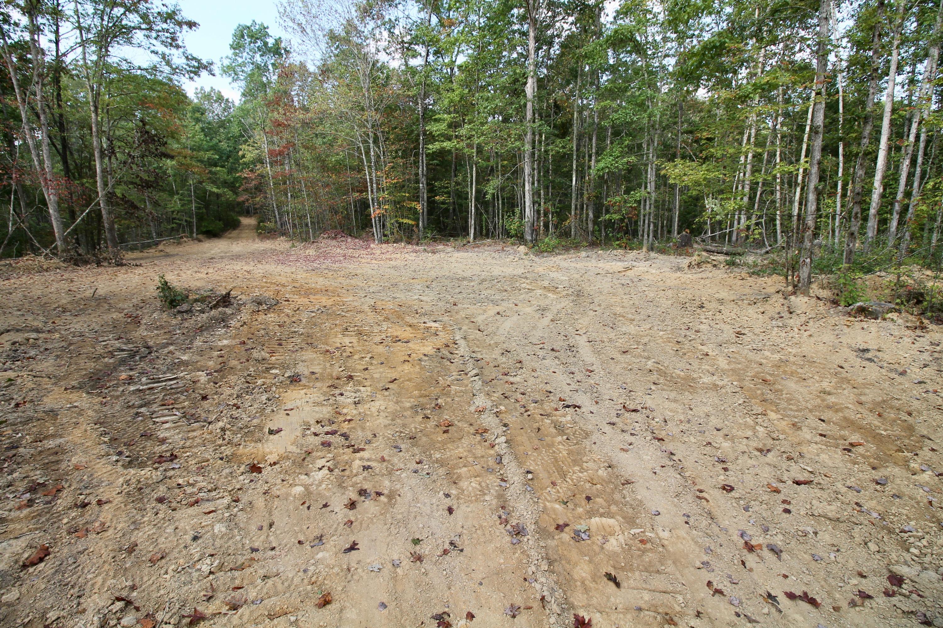 Arthur Mccormick Road Lancing, TN 37770 - Photo 17 of 39 18
