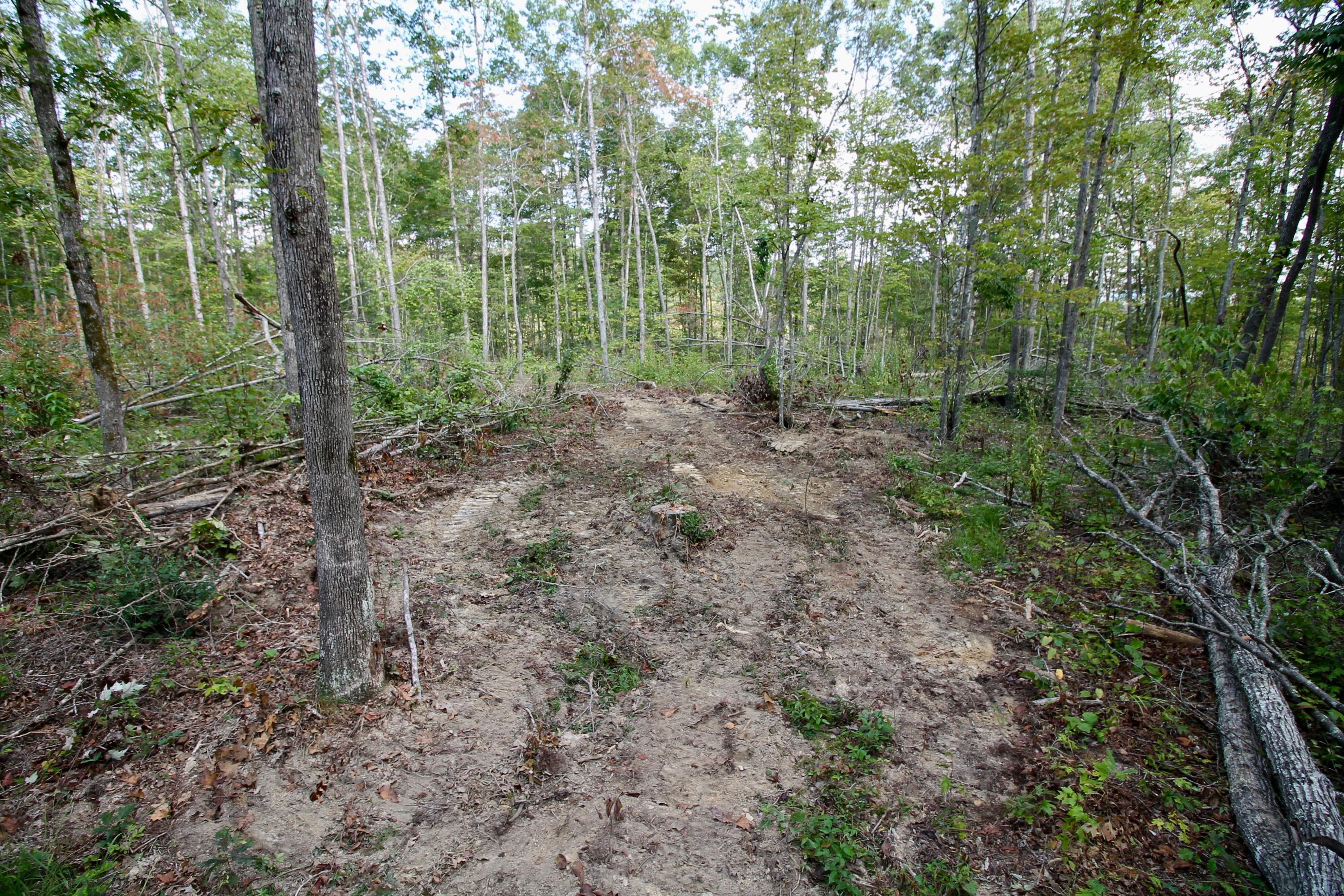 Arthur Mccormick Road Lancing, TN 37770 - Photo 28 of 39 29