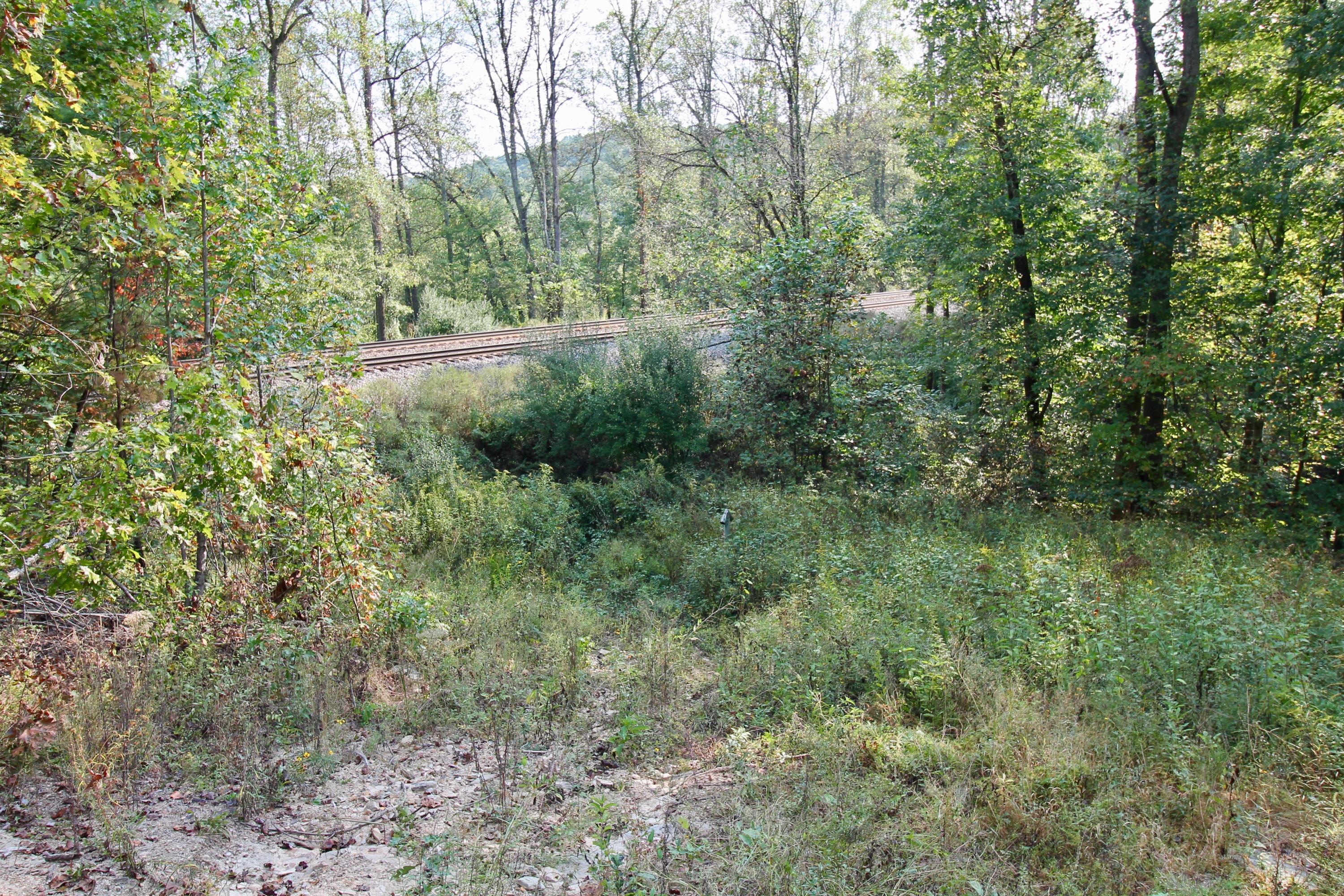 Arthur Mccormick Road Lancing, TN 37770 - Photo 34 of 39 35