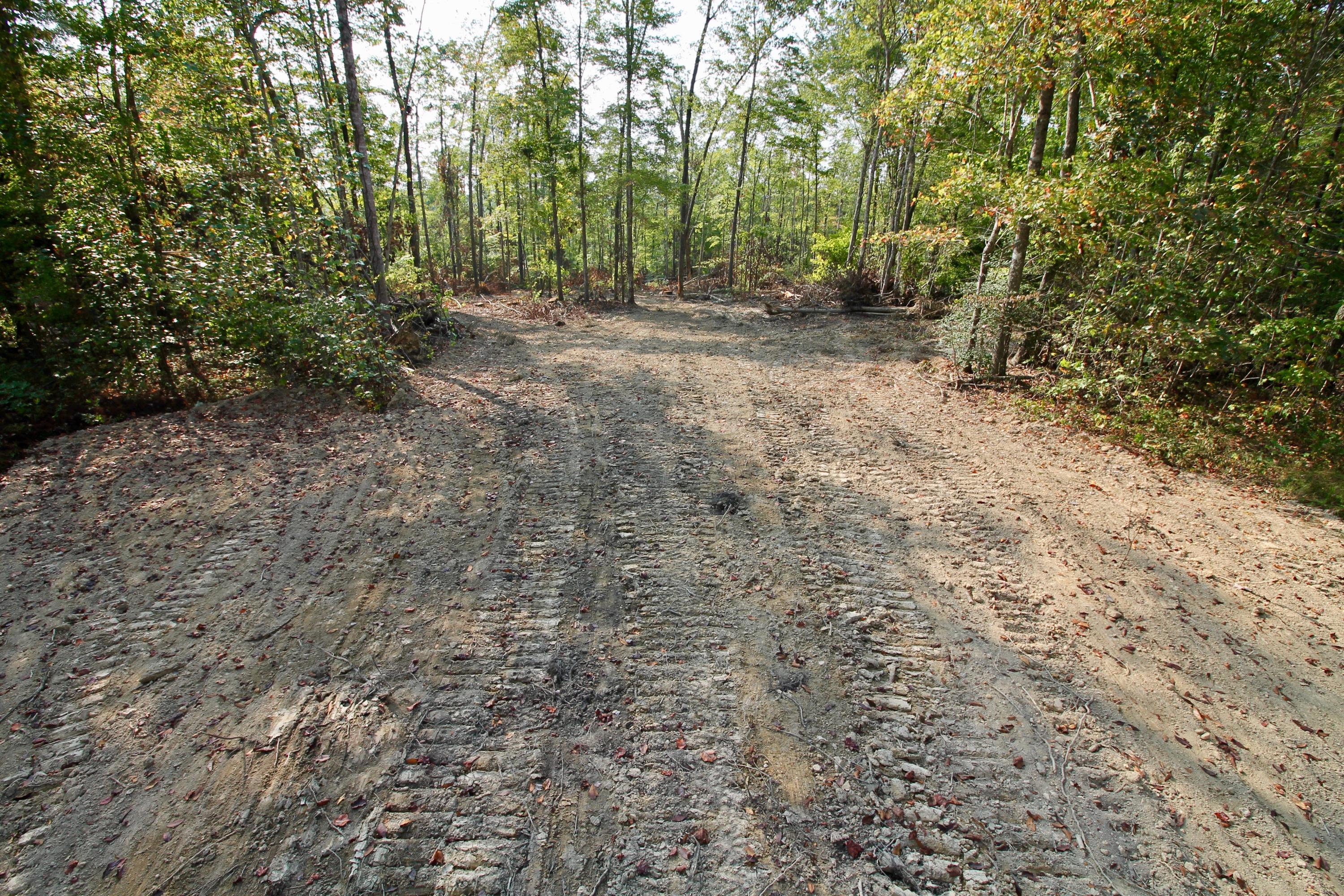 Arthur Mccormick Road Lancing, TN 37770 - Photo 35 of 39 36