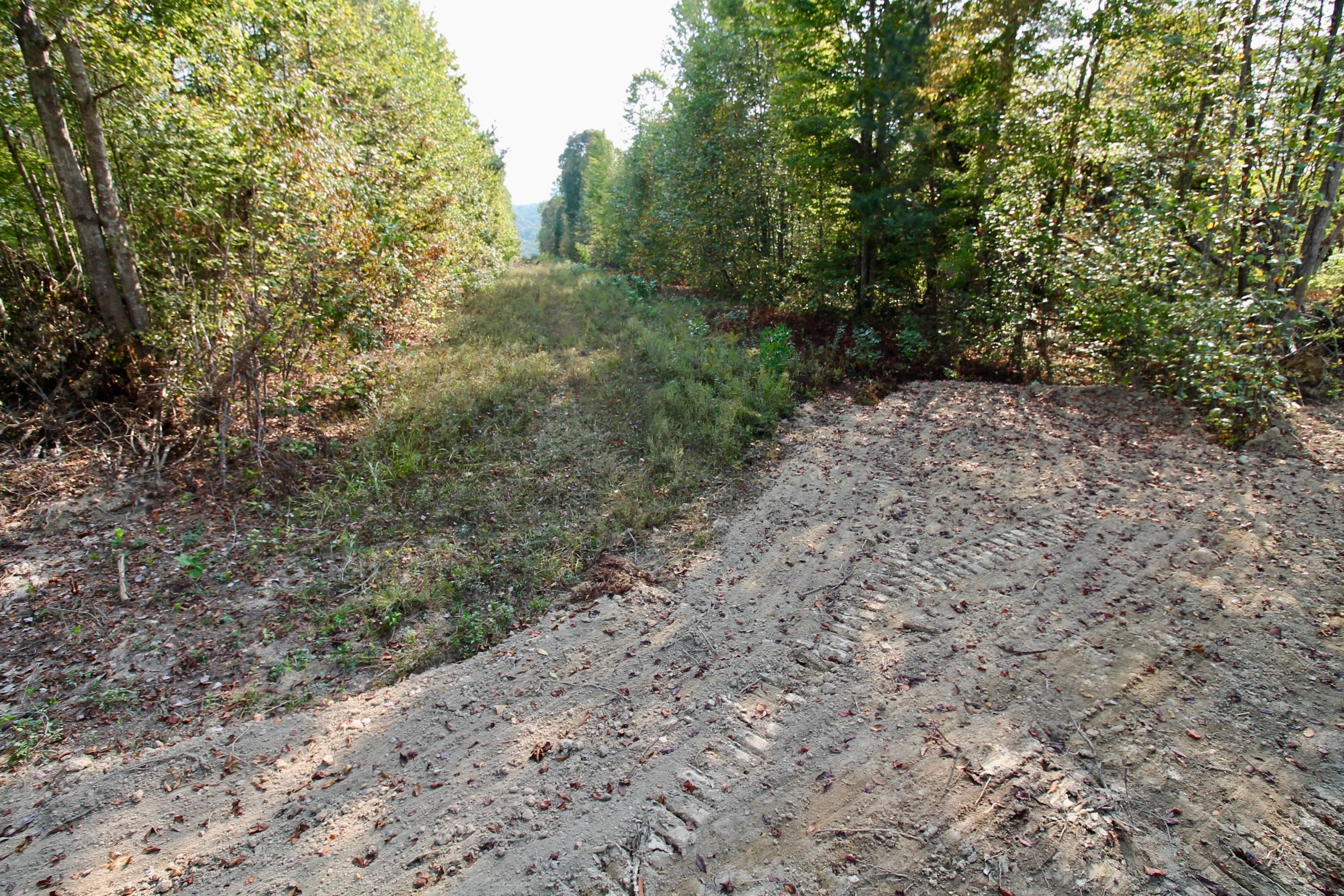 Arthur Mccormick Road Lancing, TN 37770 - Photo 37 of 39 38