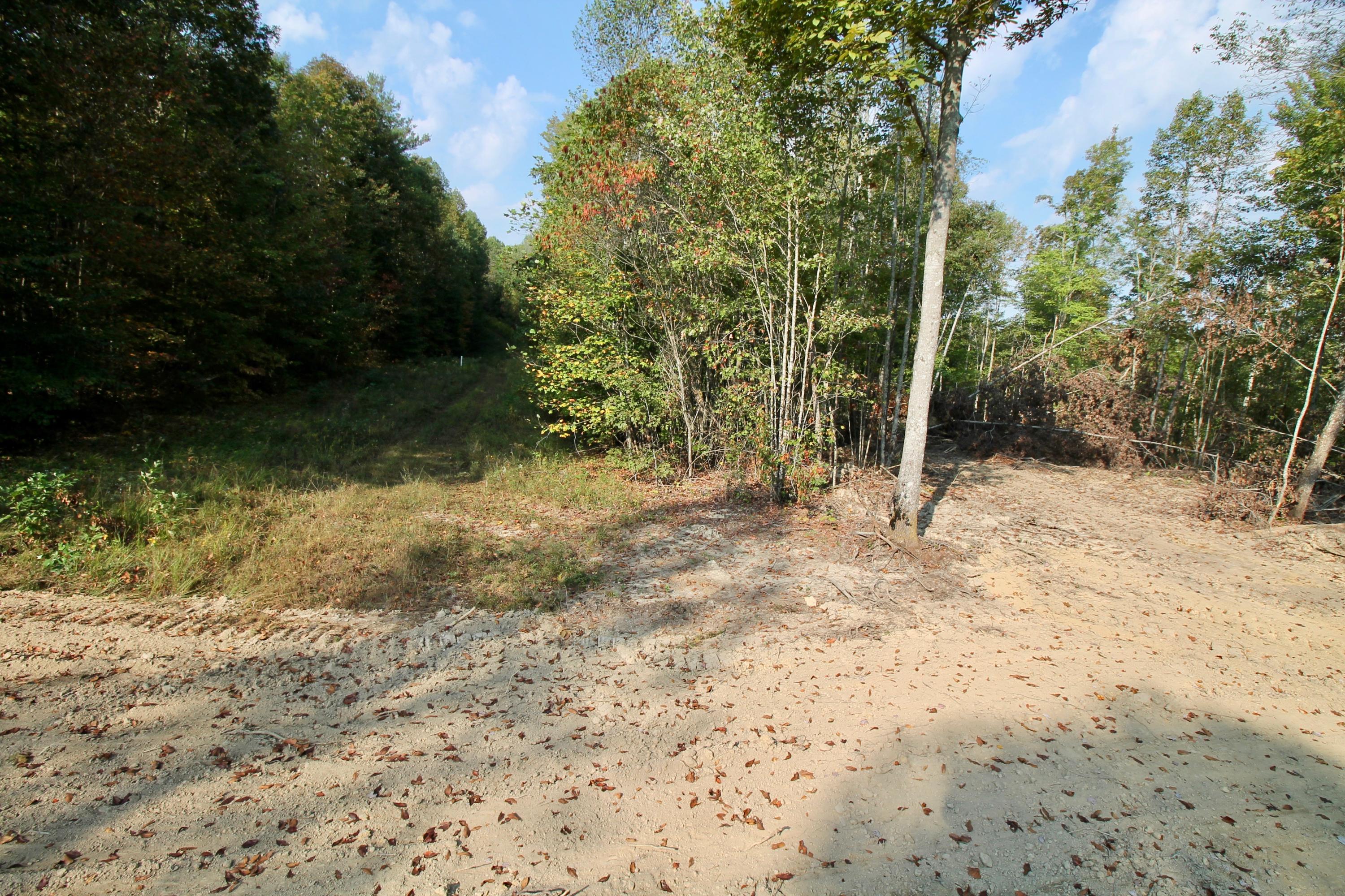 Arthur Mccormick Road Lancing, TN 37770 - Photo 38 of 39 39