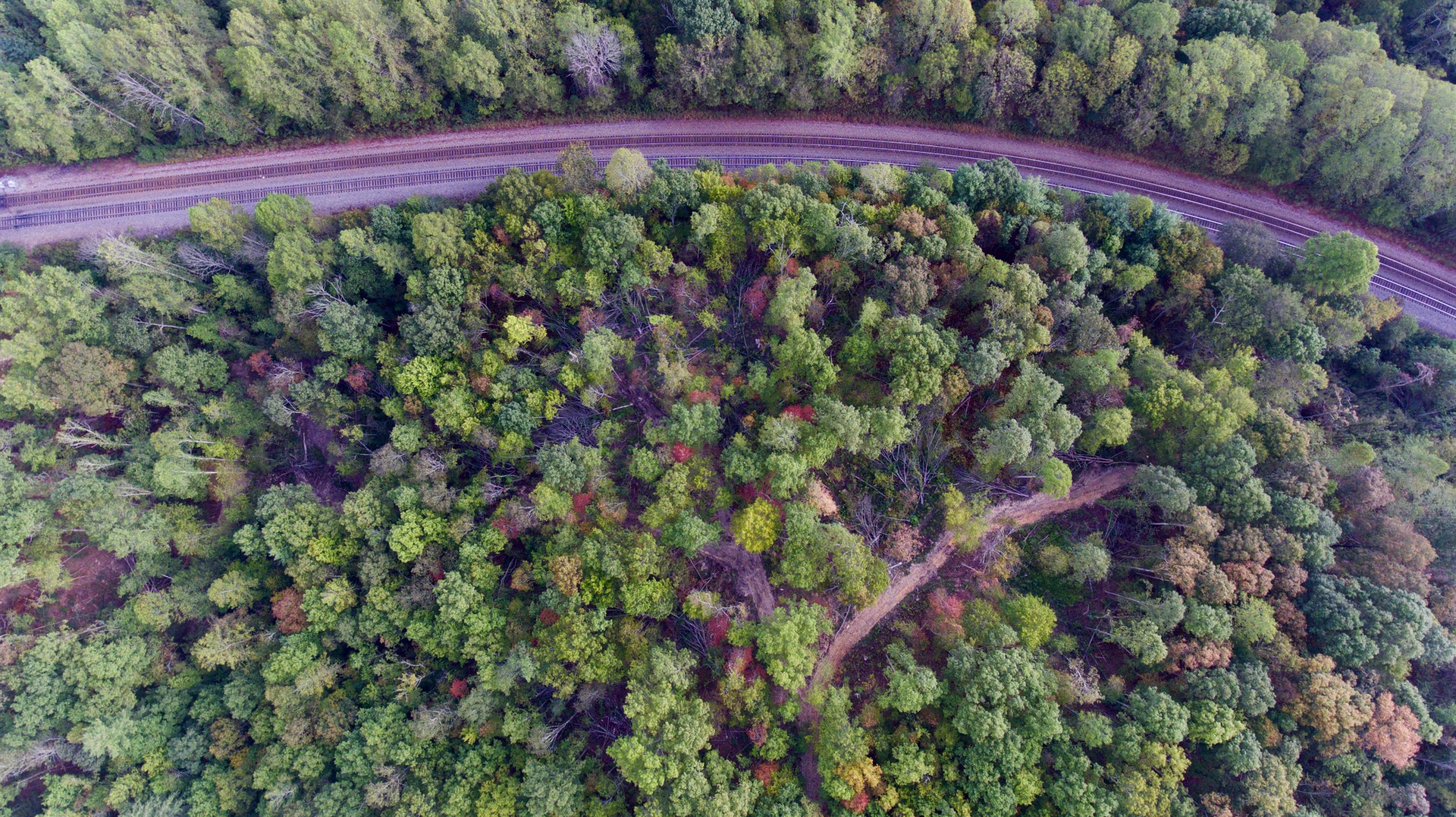 Arthur Mccormick Road Lancing, TN 37770 - Photo 7 of 39 7