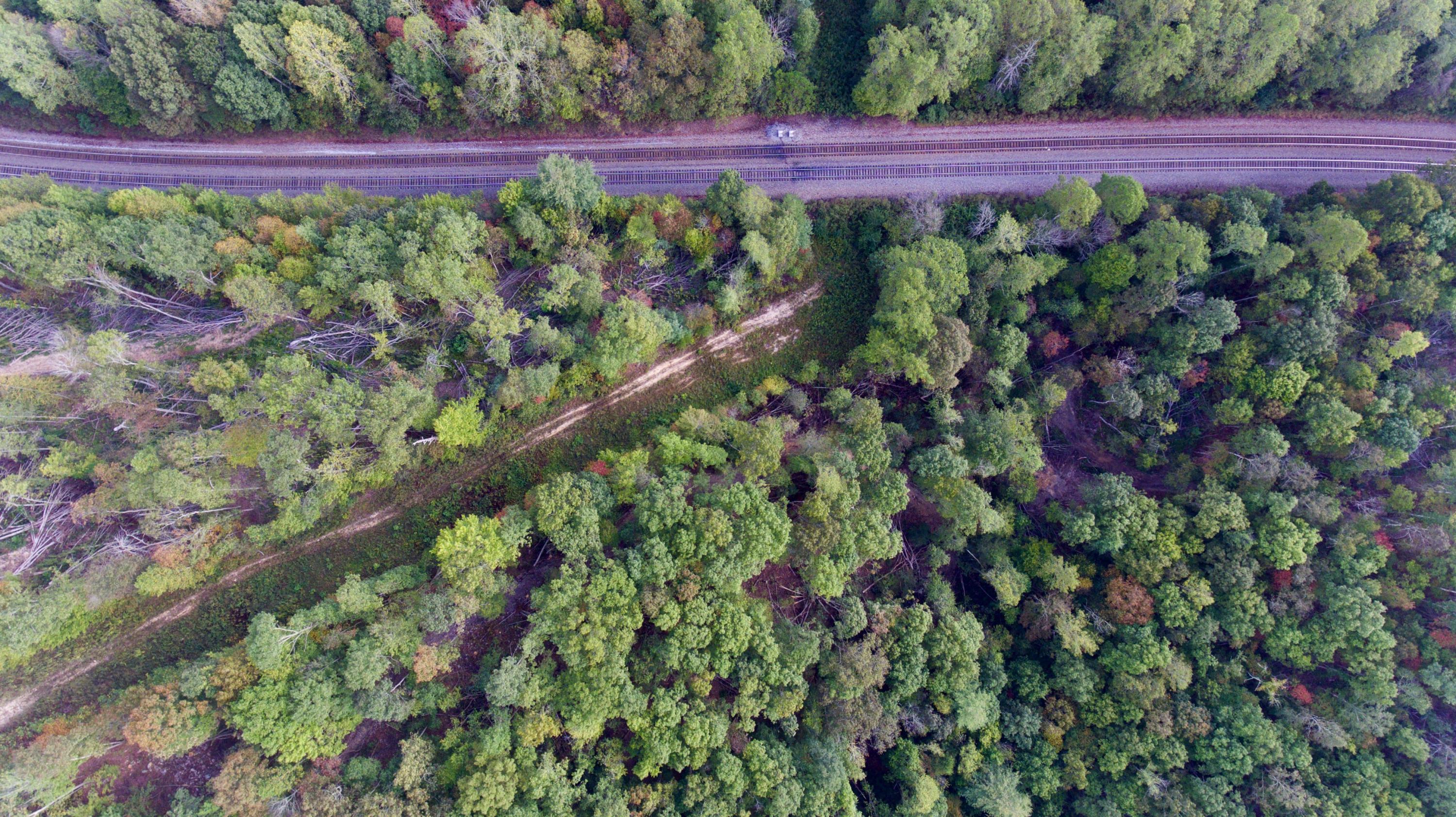 Arthur Mccormick Road Lancing, TN 37770 - Photo 8 of 39 8