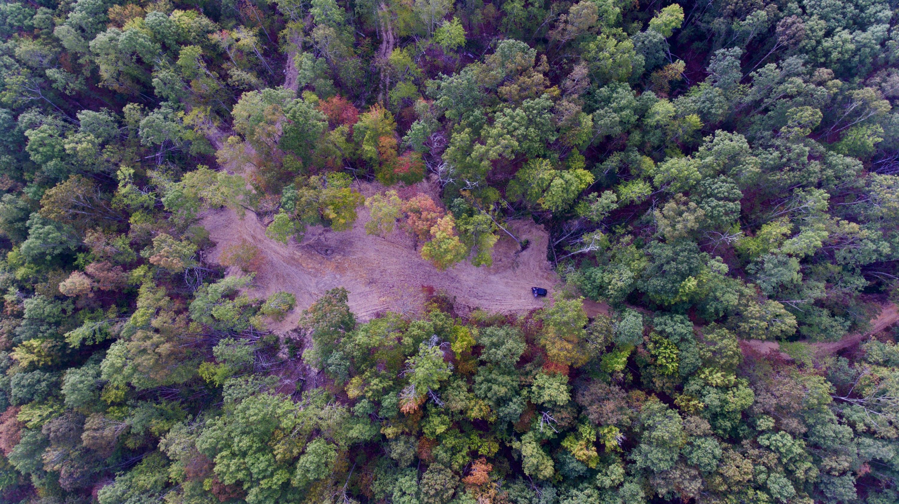 Arthur Mccormick Road Lancing, TN 37770 - Photo 10 of 39 10