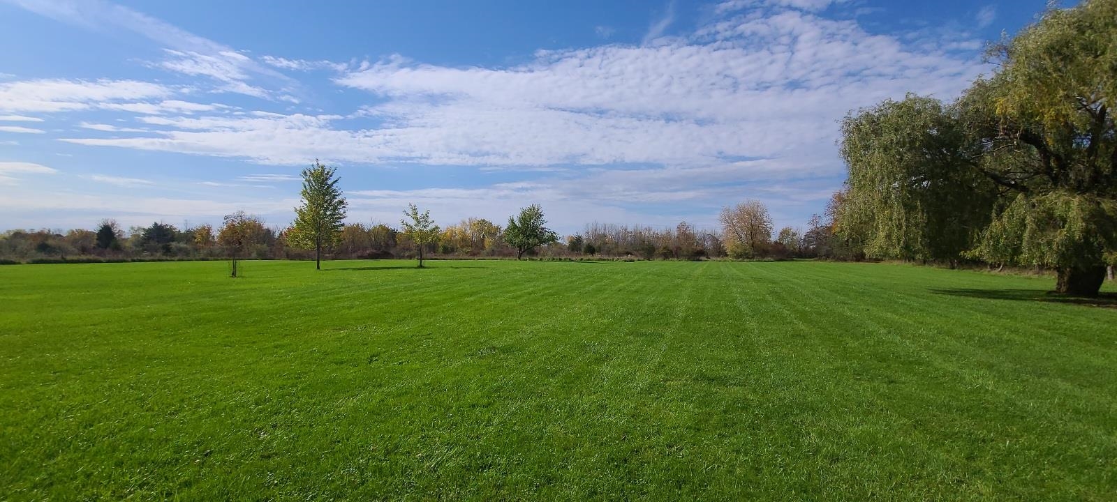 2144 Aiken Road Owosso, MI 48867 - Photo 6 of 40