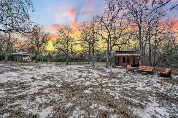 a close up of a tree