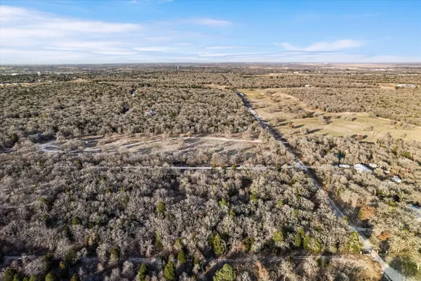 a view of a forest with a dry tree