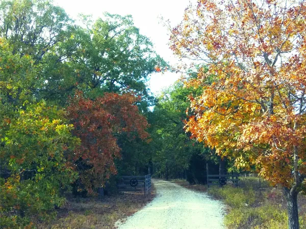 a view of outdoor space with trees