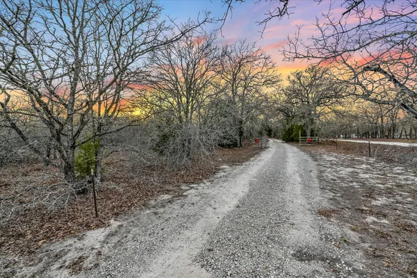 a view of a yard with trees