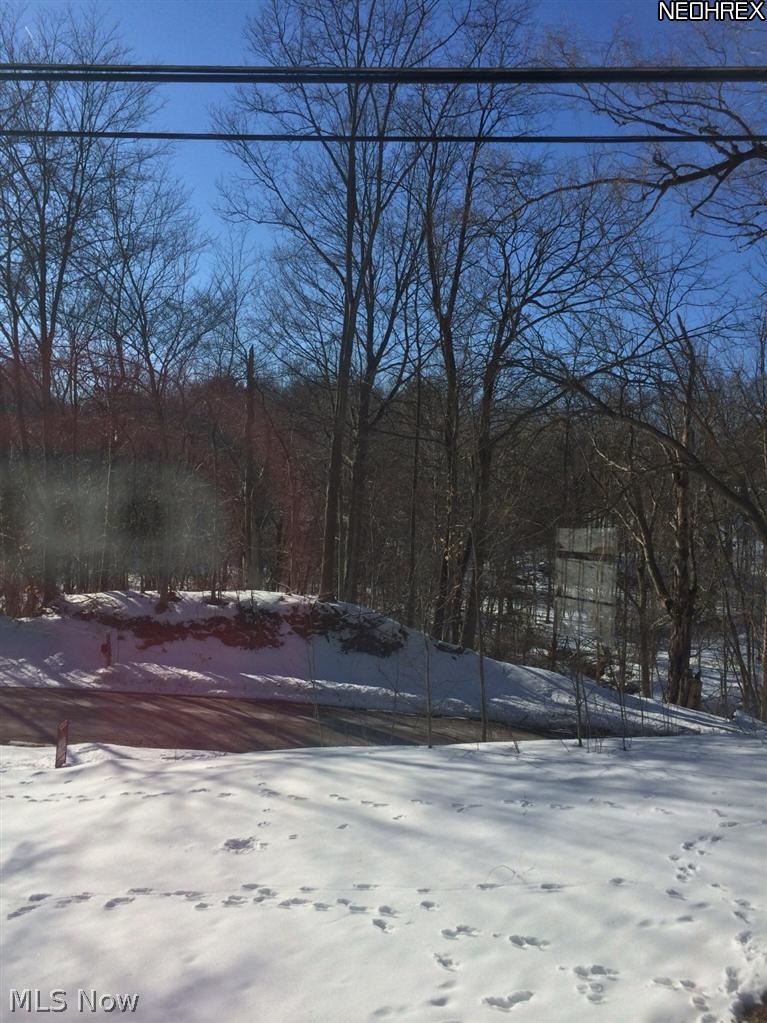 10157 Wisner Road Willoughby, OH 44094 - Photo 20 of 25