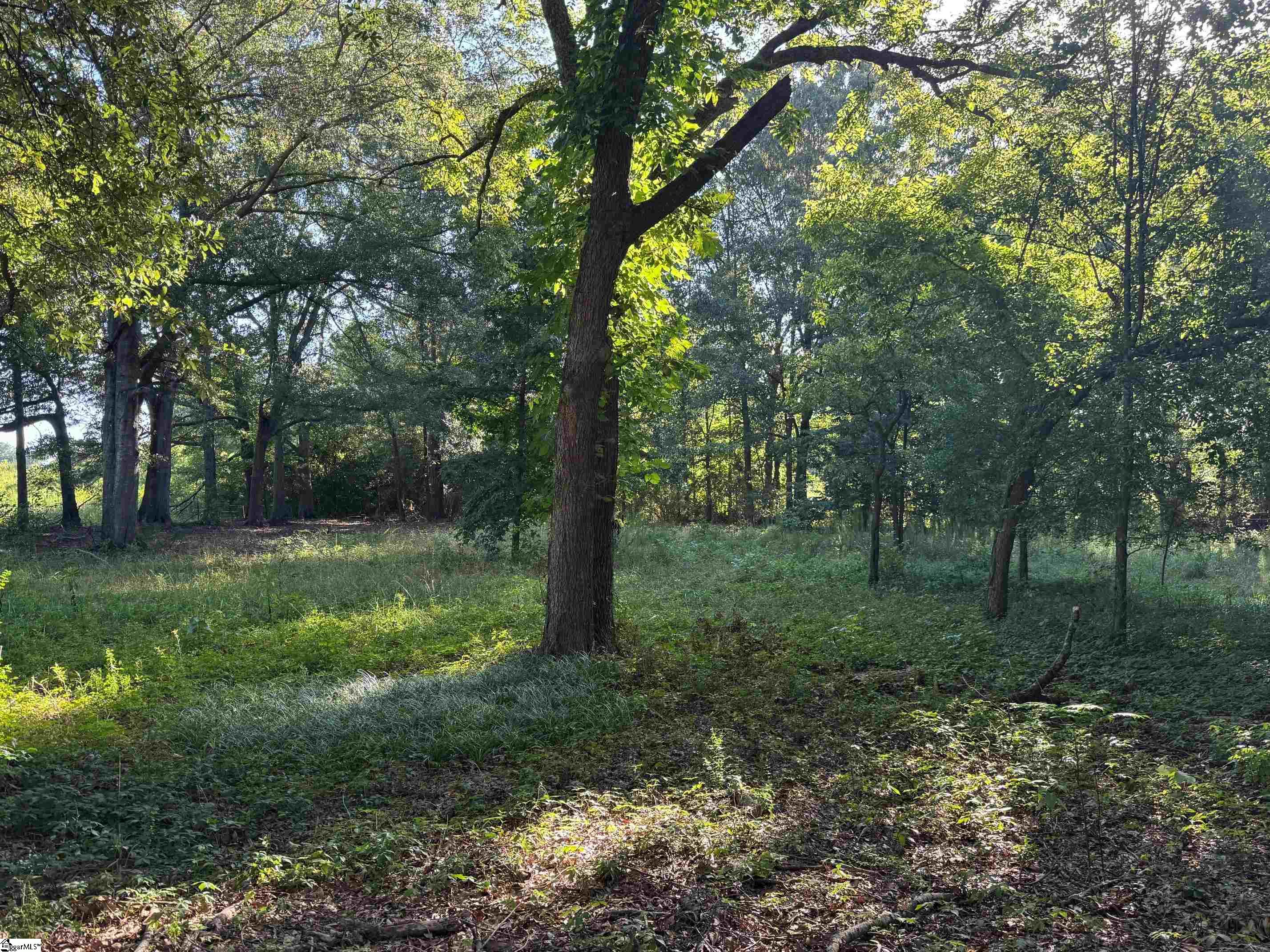 1611 West Georgia Road Simpsonville, SC 29680 - Photo 3 of 19