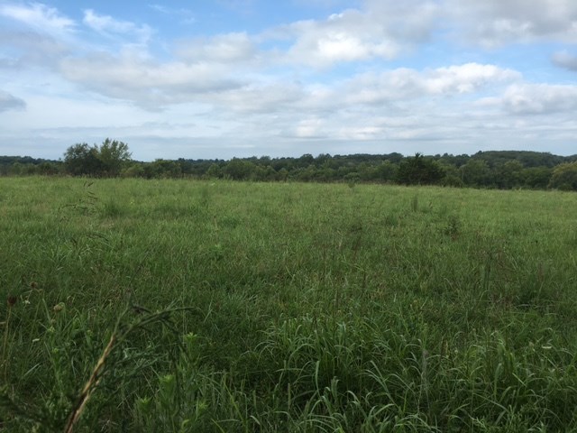 328 County Road Fulton, MO 65251 - Photo 1 of 1