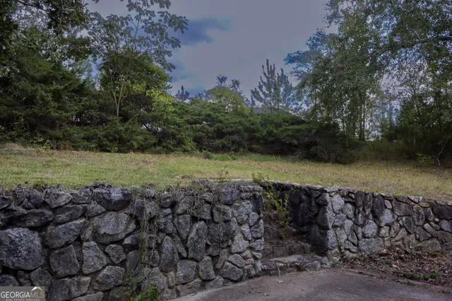 a view of a pathway with a park