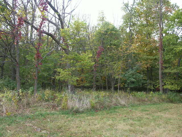 2491 East 1251st Road Ottawa, IL 61350 - Photo 22 of 24