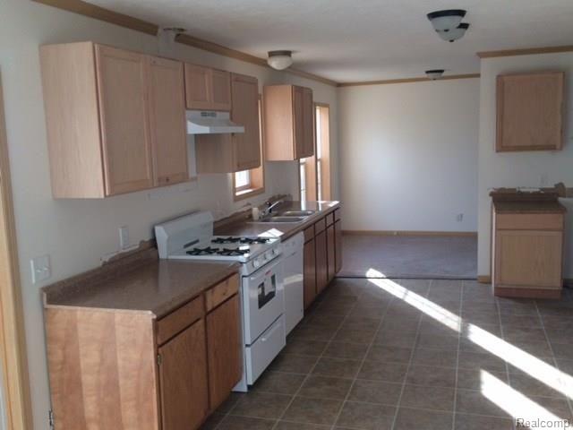 9747 Page Road Marlette, MI 48453 - Photo 3 of 29 262-165773 Kitchen.jpg