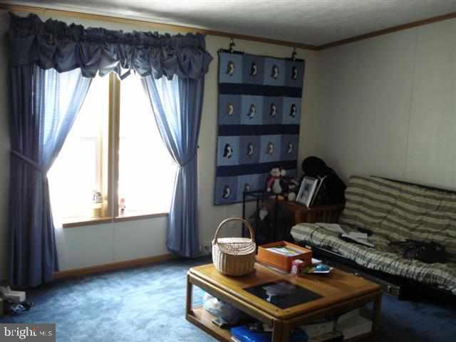 193 Deitrich Road Halifax, PA 17032 - Photo 11 of 13 Gallery Image 11