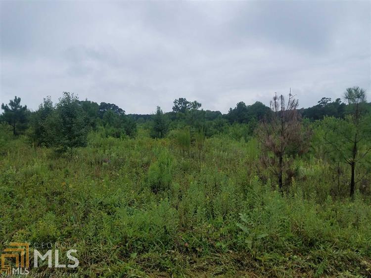 0 Jonathans Roost Road, Unit 6 Williamson, GA 30292 - Photo 1 of 1 Gallery Image 1
