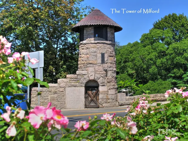 a front view of a house with yard