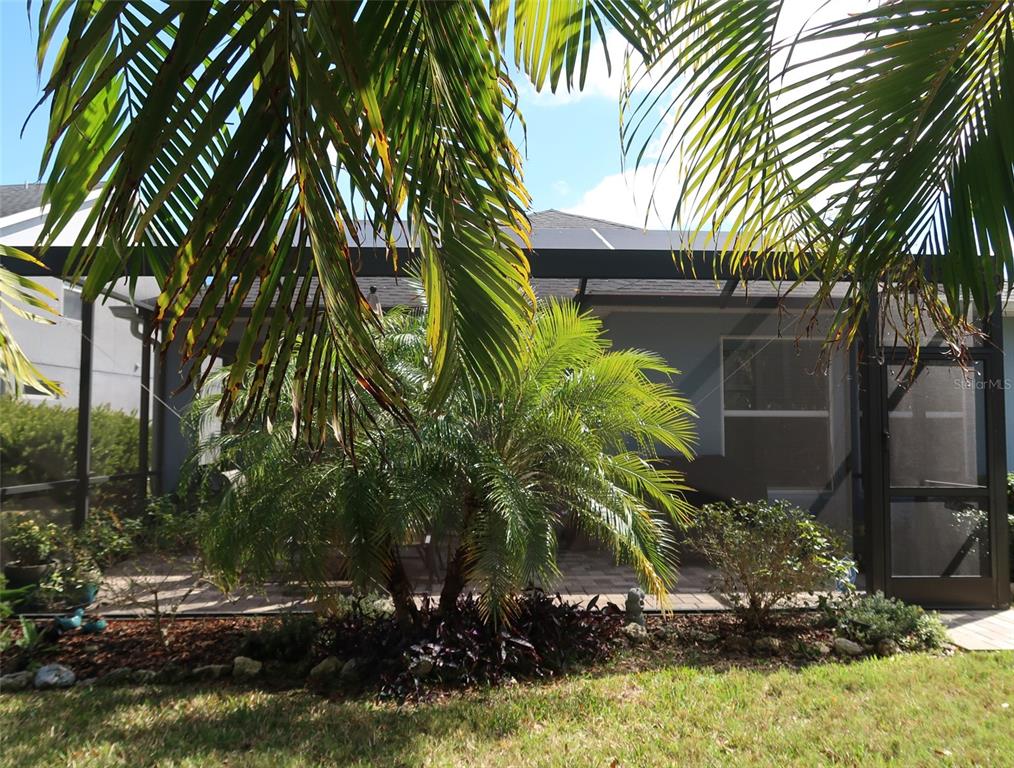 2535 Fireflag Lane Sarasota, FL 34232 - Photo 25 of 27 a view of outdoor space and yard